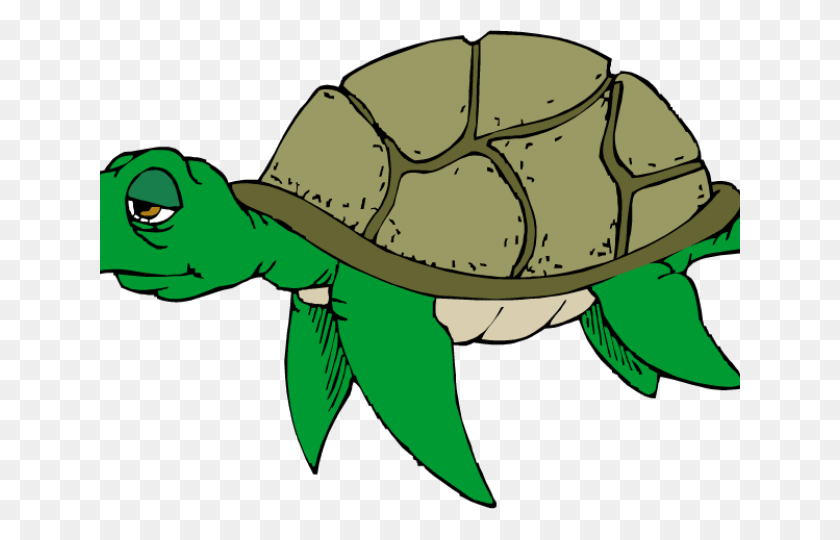 640x480 Clipart Of The Day Turtle Clip Art, Clothing, Apparel, Helmet HD PNG Download