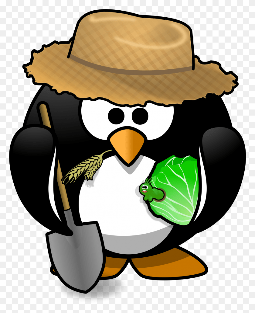 1931x2400 Clipart Penguin Farmer, Bird, Animal, Clothing HD PNG Download