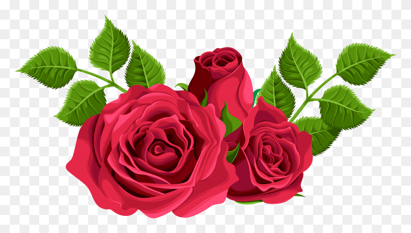 7921x4244 Clipart Pink Rose Descargar Hd Png