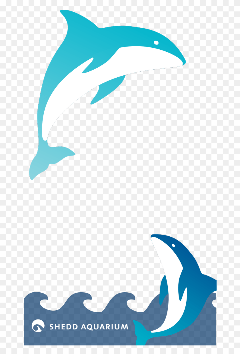 676x1180 Clipart Rainbow Dolphin, Mammal, Sea Life, Animal HD PNG Download