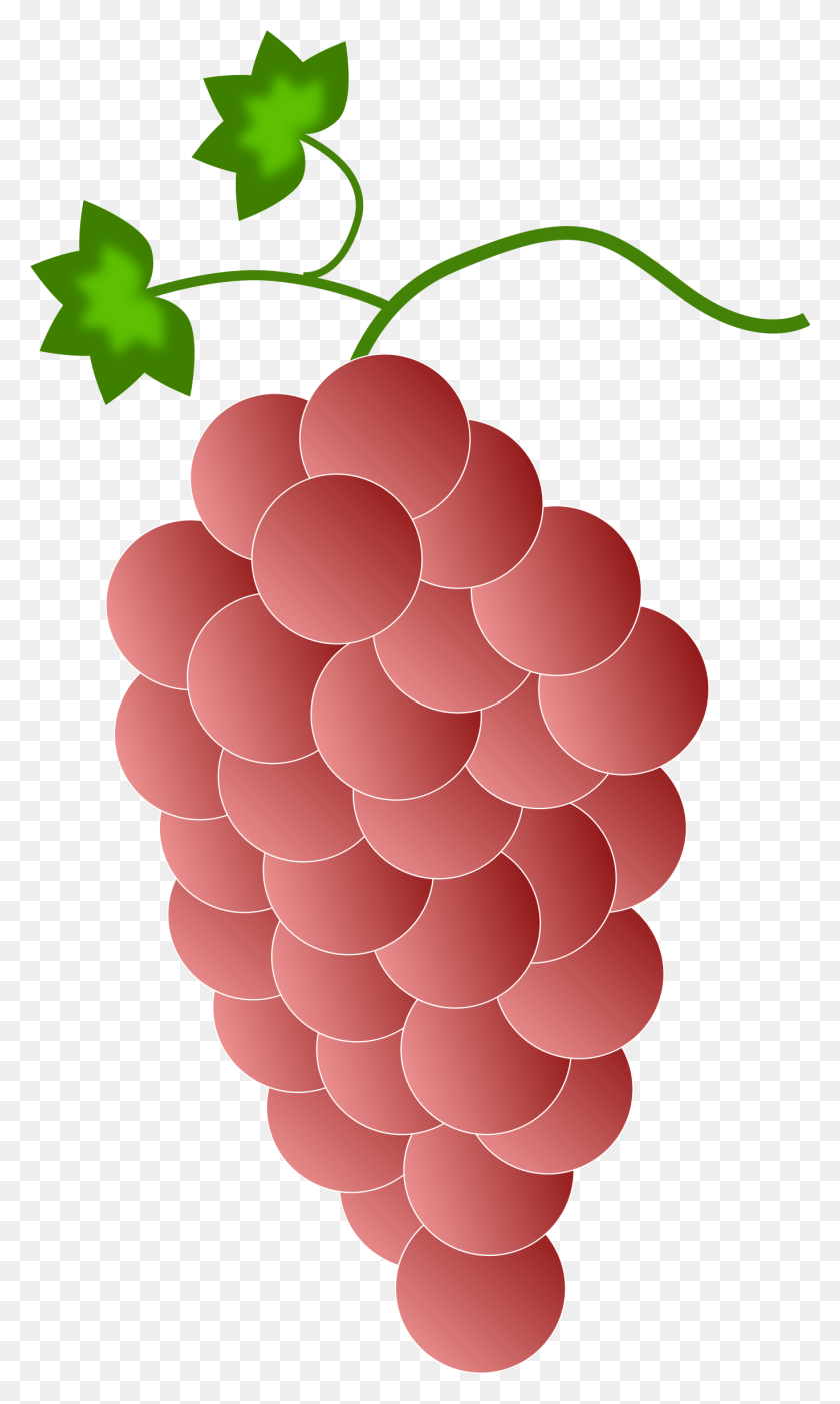 1368x2356 Clipart Red Grapes Clipart Red Grapes Clipart, Plant, Fruit, Food HD PNG Download