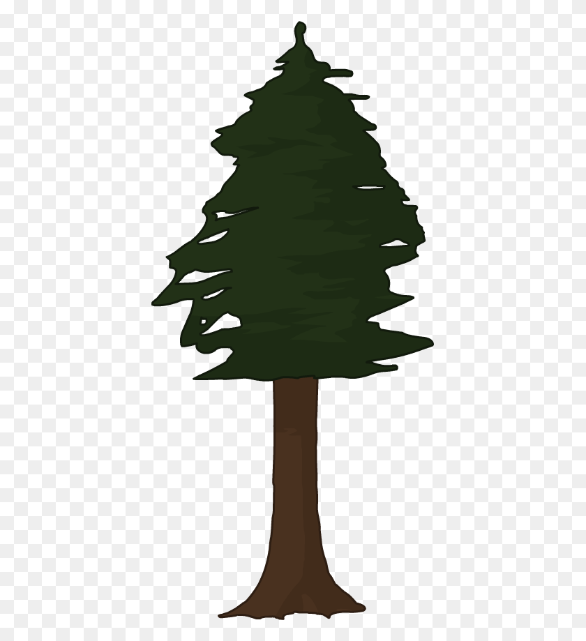 405x859 Clipart Redwood Tree Redwood Tree Clipart, Plant, Fir, Abies HD PNG Download