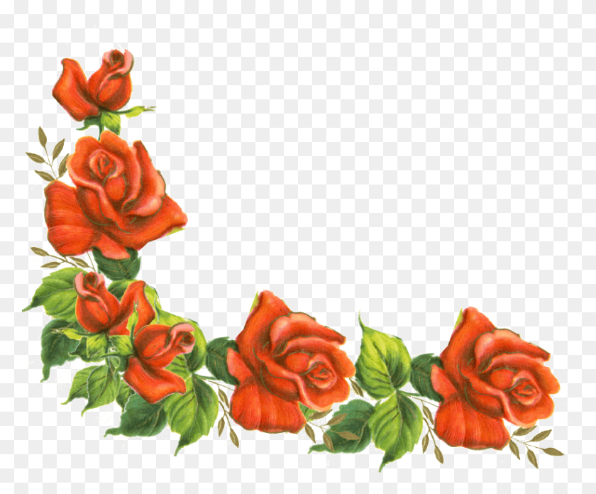 821x670 Clipart Rose Borders Free Rose Border Clipart, Plant, Flower, Blossom HD PNG Download