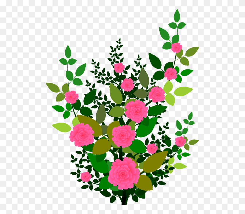 528x674 Clipart Rose Plant Clipartfest Clipart Rose Plant, Graphics, Floral Design HD PNG Download