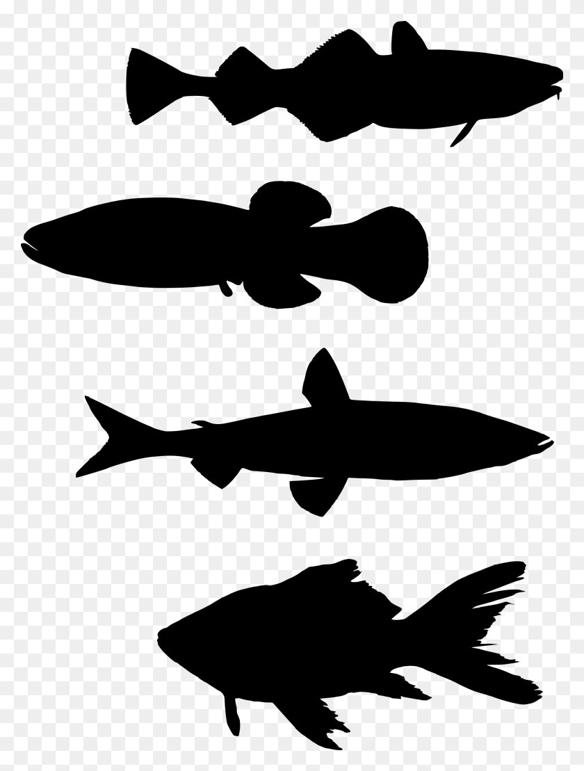 1783x2400 Clipart School Of Fish Silhouette, Gray, World Of Warcraft HD PNG Download
