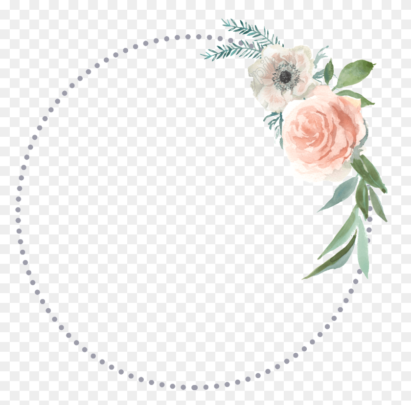 993x980 Clipart Stock Simple Line Of Border Free Border Line Flower, Plant, Blossom, Rose HD PNG Download