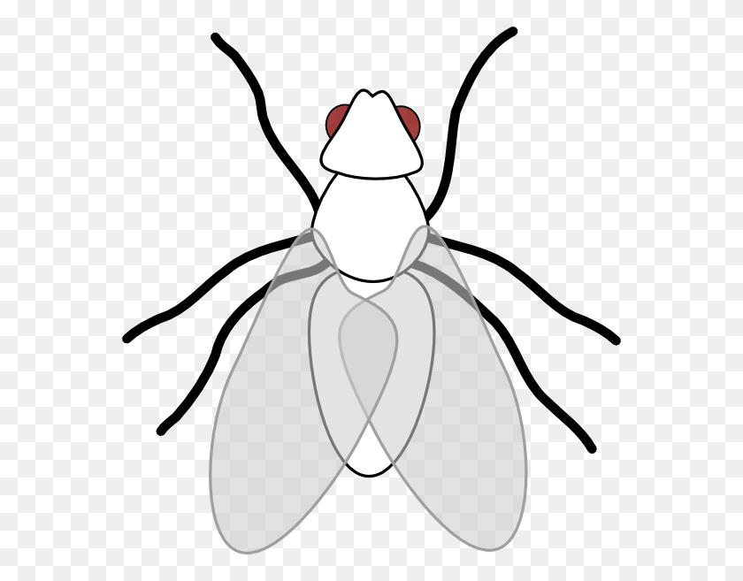 564x597 Clipart Transparent Clip Art At Clker Com Vector Online Fly Clip Art, Insect, Invertebrate, Animal HD PNG Download