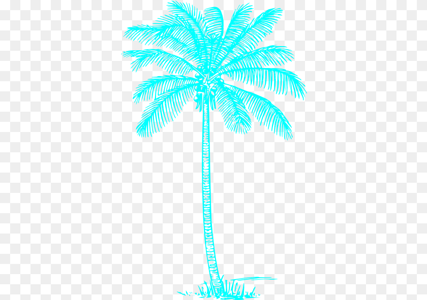 367x591 Clipart Palm Tree Clip Art Coconut Tree Pencil Drawing, Palm Tree, Plant, Vegetation, Animal Transparent PNG