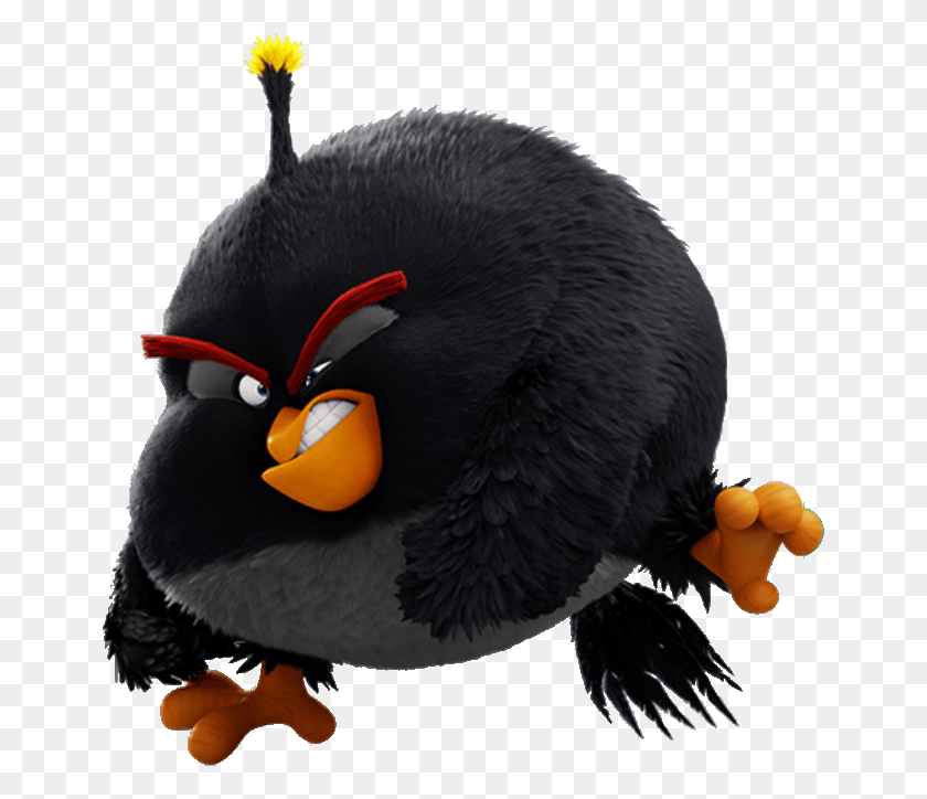 654x664 Descargar Png / Angry Birds Acción Bomba Png