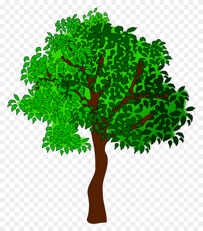 2039x2352 Клипарт Дерево Большое Изображение, Растение, Зеленый, Растительность Hd Png Скачать