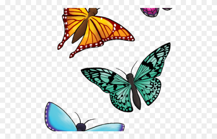 503x481 Clipart Wallpaper Blink Butterfly Transparent Clipart, Insect, Invertebrate, Animal HD PNG Download