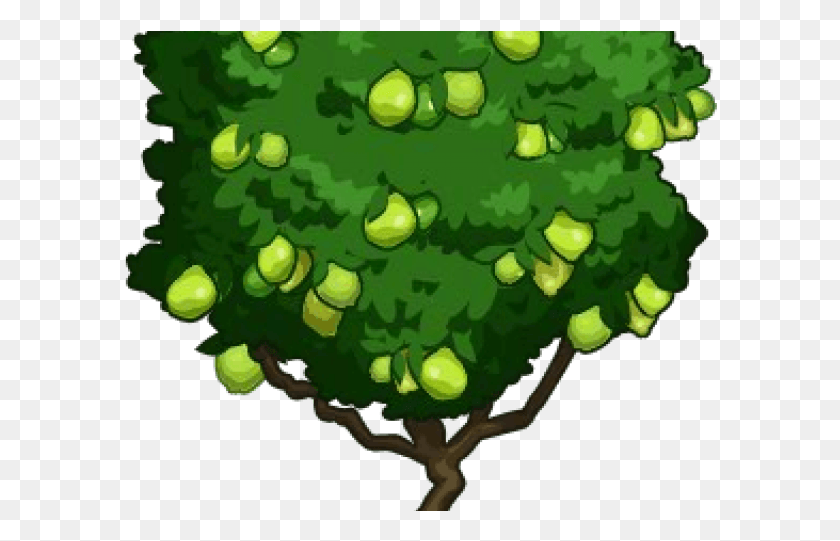 595x481 Клипарт Обои Blink Guava Plant Guava Tree Клипарт, Зеленый, Графика Hd Png Скачать