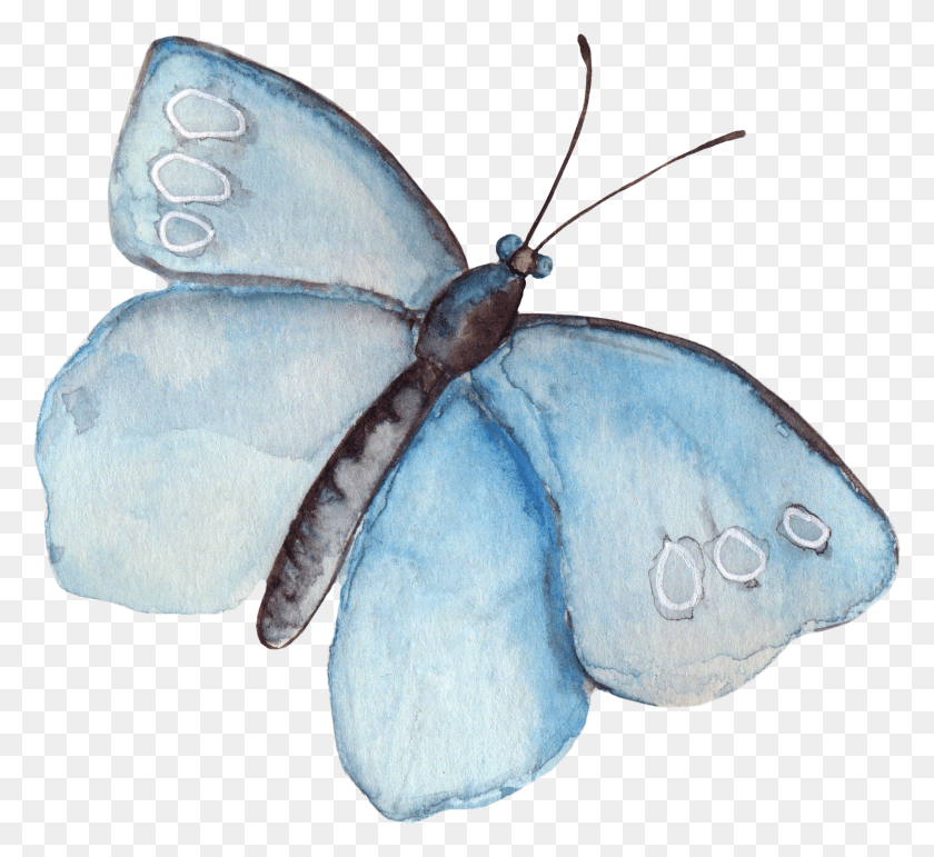 2905x2649 Clipart Wallpaper Blink Watercolor Butterfly Clipart HD PNG Download