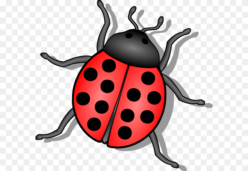 600x579 Cliparts Bugs, Animal, Invertebrate, Spider Transparent PNG