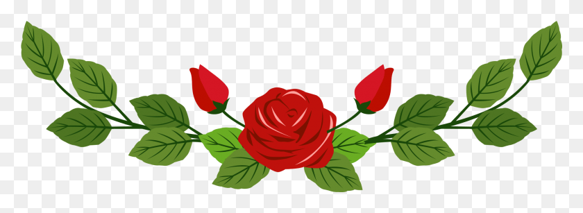 1918x609 Png Роза, Цветок, Растение Hd Png Скачать