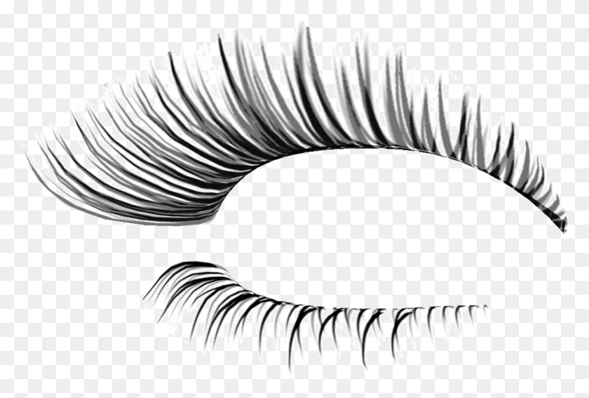 1187x773 Cliparts For Free Eyelash Clipart Fake Eyelashes Transparent Background, Screw, Machine, Accessories HD PNG Download