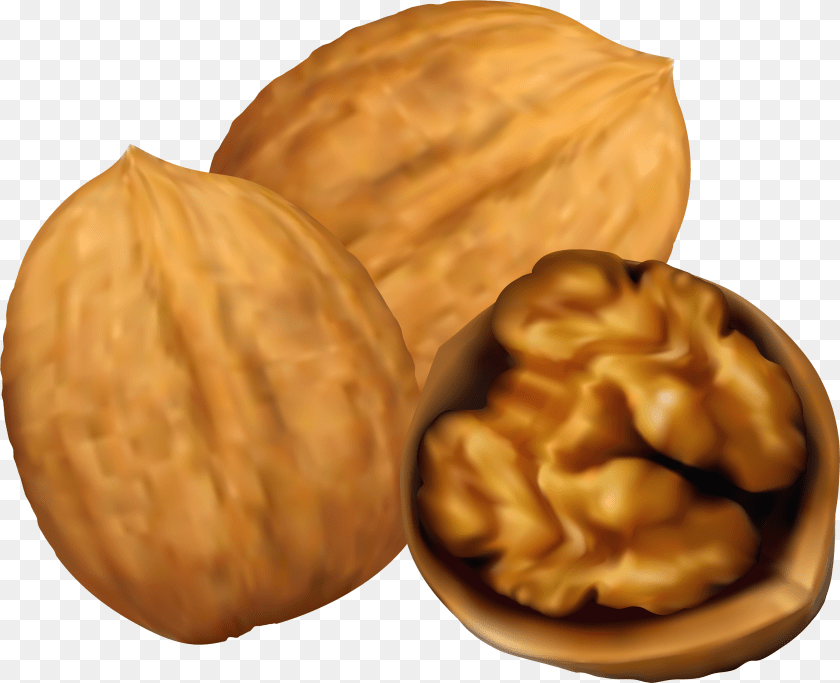 3915x3182 Cliparts No Nuts Walnut Clipart Transparent PNG