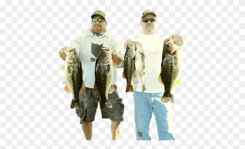 439x453 Cliwinners Clipped Rev 3 221 950 500 Pull Fish Out Of Water, Person, Human, Perch HD PNG Download