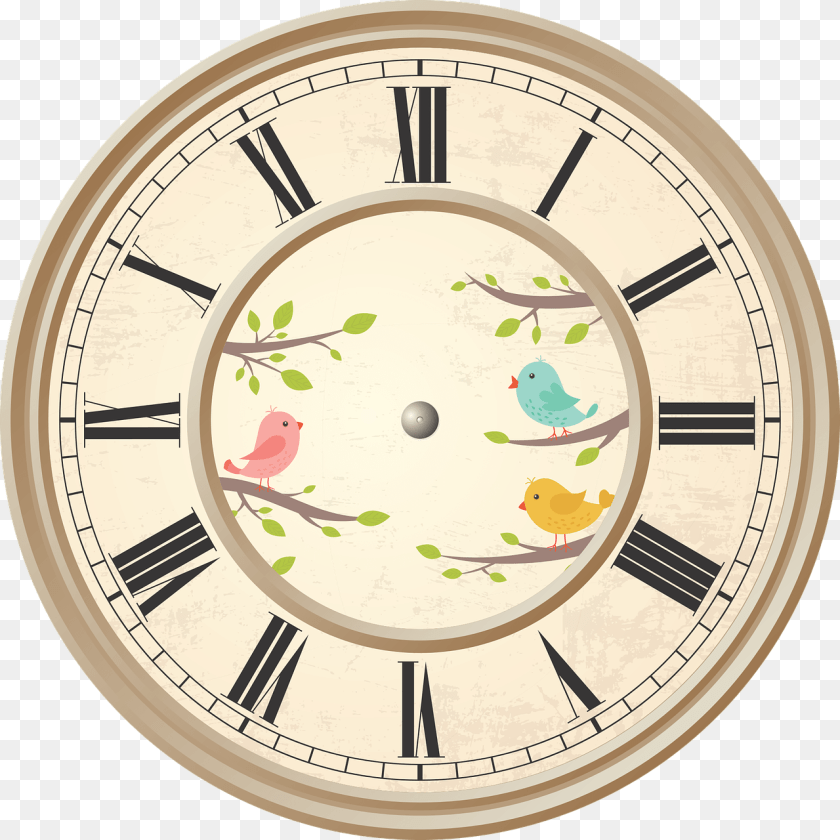 Clock Roman Numerals Birds, Analog Clock, Animal, Bird, Wall Clock Transparent PNG
