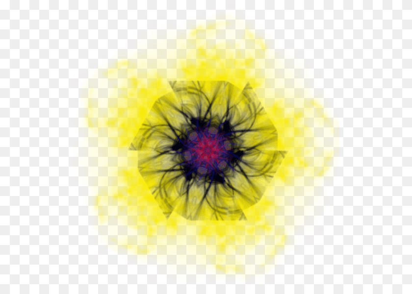 544x600 Close Up, Pollen, Plant, Dye, Pattern Clipart PNG