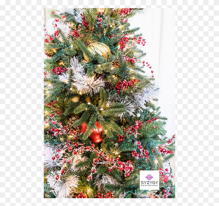 505x732 Close Up Of How We 39wow39d39 Our Tree With A Few Large Christmas Ornament, Christmas Tree, Ornament, Plant HD PNG Download