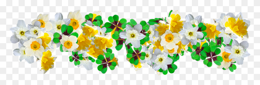 1225x340 Clover Daffodils Flowers Graphics Easter Luck Artificial Flower, Plant, Blossom, Anemone HD PNG Download