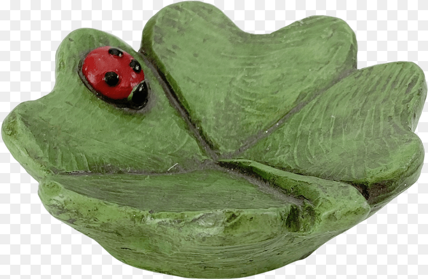 1179x769 Clover Dish Bullfrog, Leaf, Plant, Amphibian, Animal Sticker PNG
