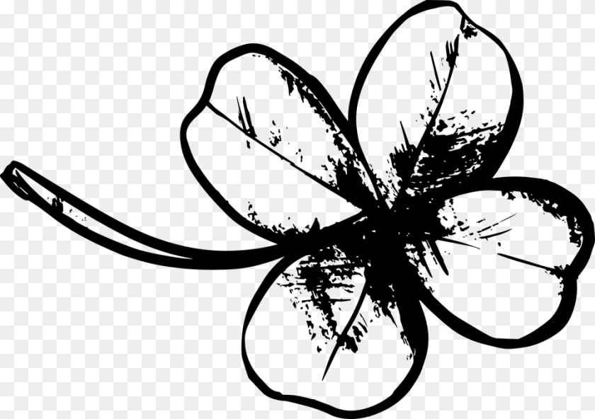 960x677 Clover Four Leaf Plant Four Leaf Clover Drawing, Gray Sticker PNG