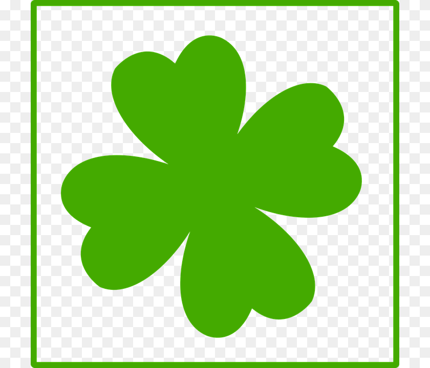 720x720 Clover Pictures Gallery Images, Green, Leaf, Plant, Astronomy PNG