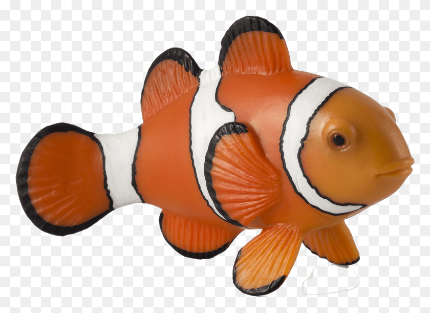 2354x1665 Clown Fish Free Background Clown Fish Toys, Fish, Animal, Amphiprion HD PNG Download