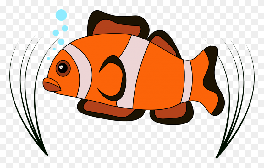 1280x782 Рыба-Клоун Вектор Клоун Бесплатная Картинка Скетса Гамбар Икан Берварна, Рыба, Животное, Золотая Рыбка Png Скачать