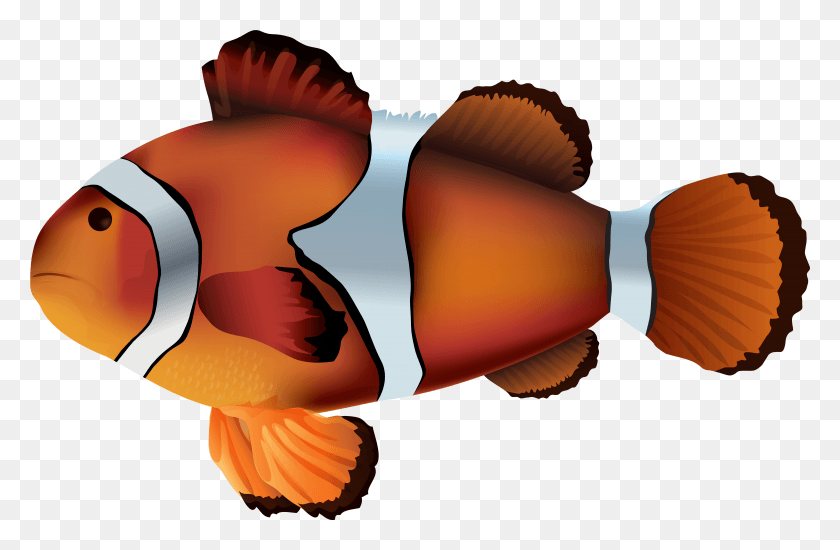 6801x4281 Clown Silhouette At Getdrawings Com Free For Clown Fish No Background, Goldfish, Fish, Animal HD PNG Download