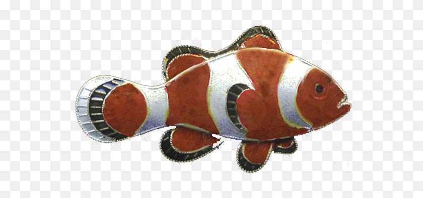 613x334 Clownfish, Fish, Animal, Amphiprion HD PNG Download
