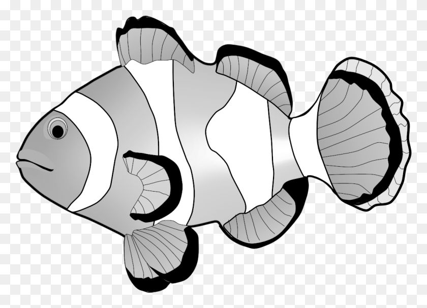 1100x770 Png Рыба-Клоун Рыба-Клоун, Животное, Морская Жизнь, Топор Png Скачать