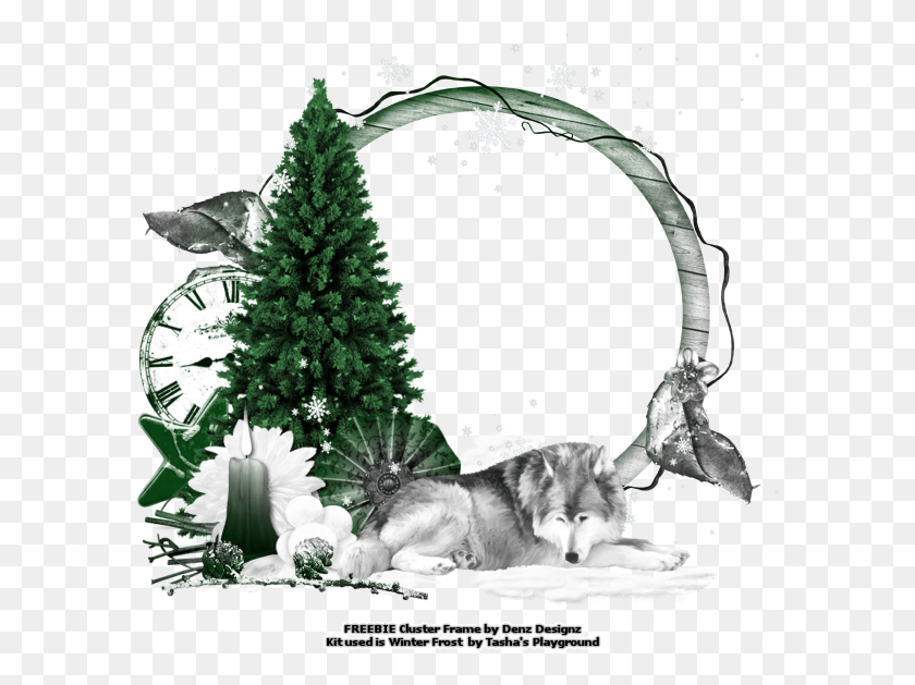 592x569 Кластерная Рамка Challenge Dec Аляскинский Маламут, Дерево, Растение, Собака Hd Png Скачать