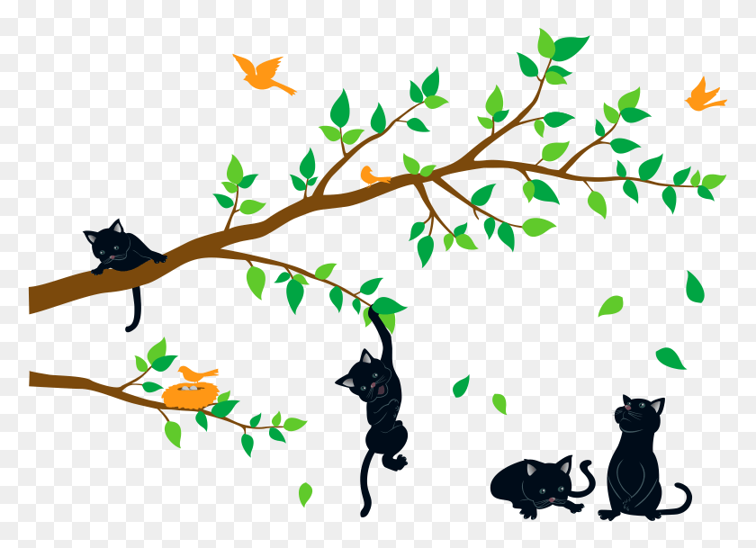 779x549 Cm De Ancho Wall Cat Stickers, Leaf, Plant, Tree HD PNG Download