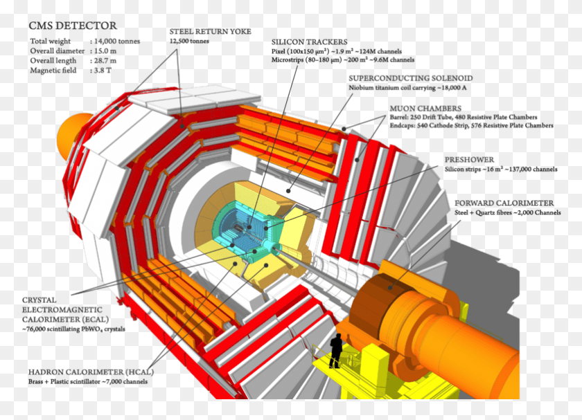 782x549 Cms 160312 06 Thumb Main Component Of Cms Detector, Person, Human, Building HD PNG Download