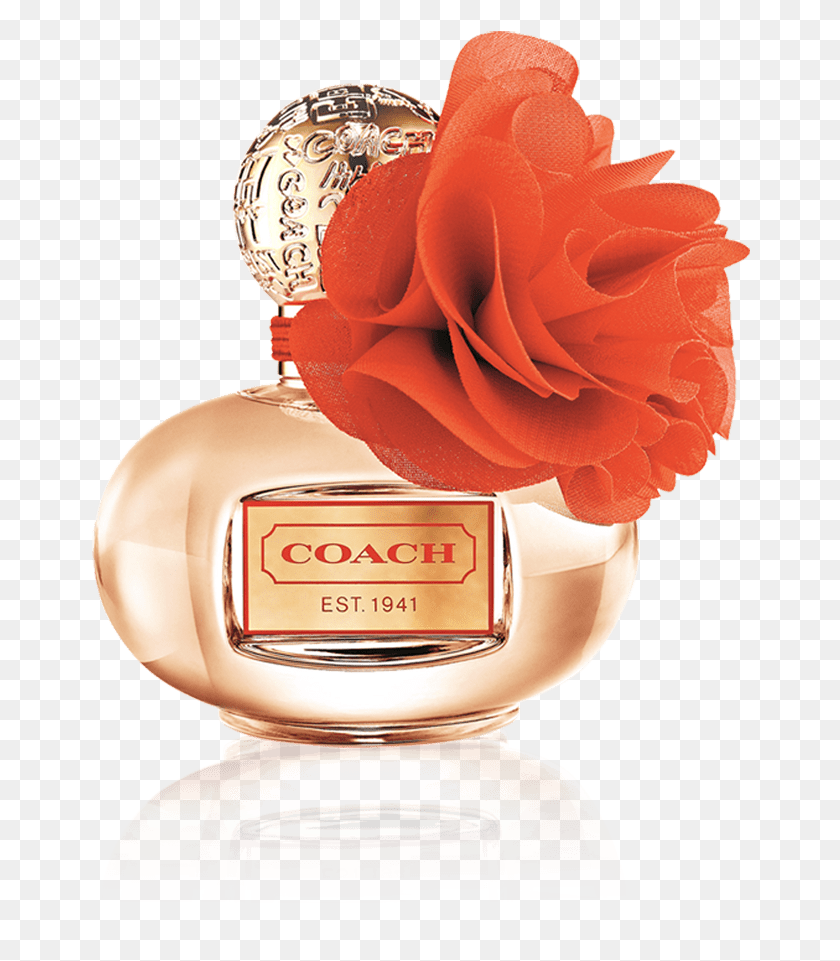 660x901 Coach Poppy Perfume Transparent Background Coach Poppy Blossom Perfume, Cosmetics, Bottle, Rose HD PNG Download