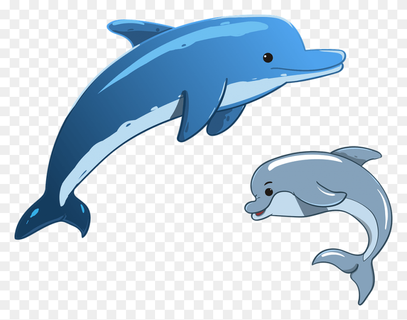 934x720 Coast Clipart Dolphins Mother And Baby Dolphin Clipart, Axe, Tool, Mammal HD PNG Download