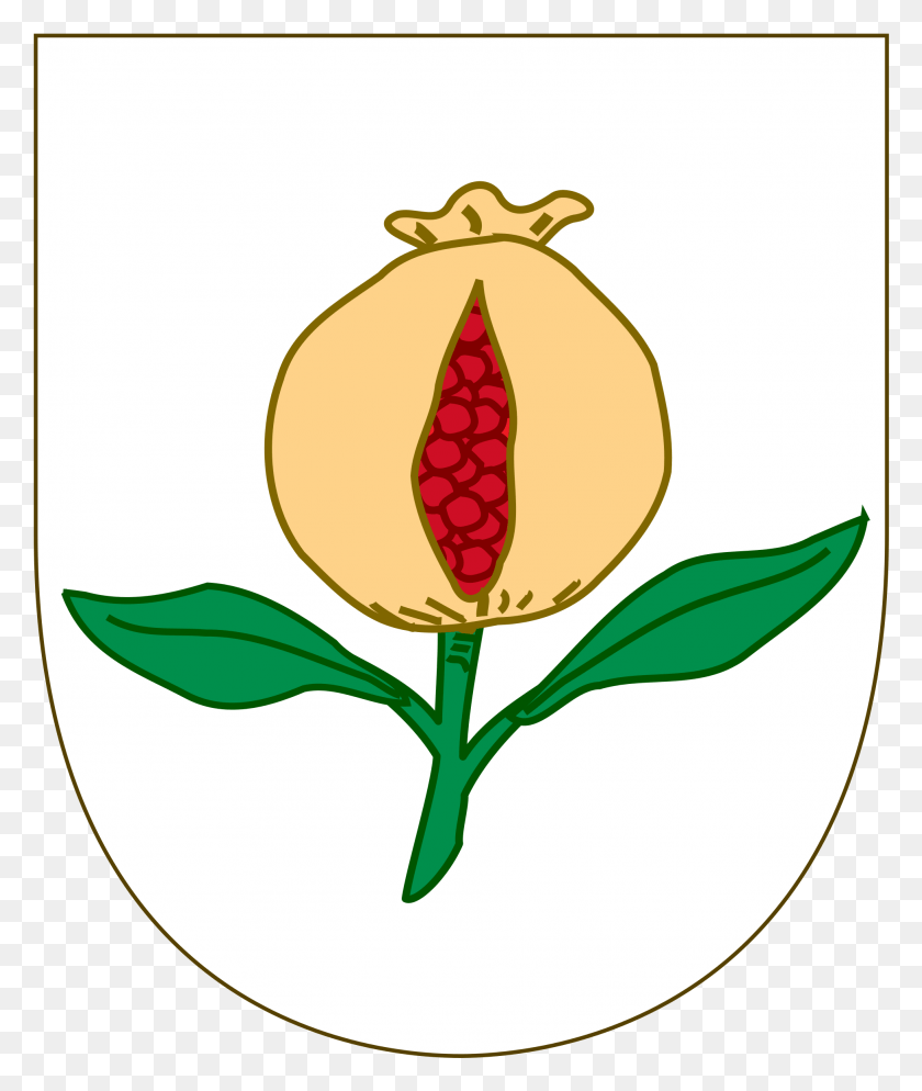 1955x2342 Coat Of Arms Template Tulipa Humilis, Plant, Flower, Blossom HD PNG Download