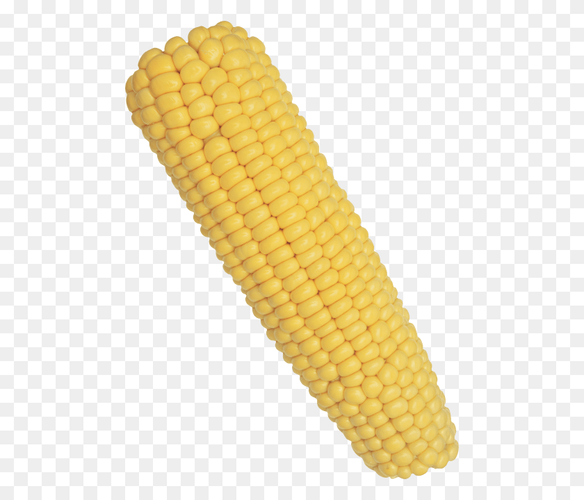 480x660 Cob Of Corn, Plant, Vegetable, Food HD PNG Download