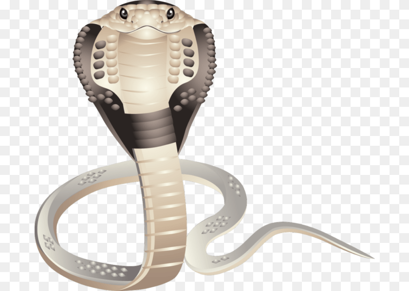 Cobra, Animal, Reptile, Snake, Blade Transparent PNG