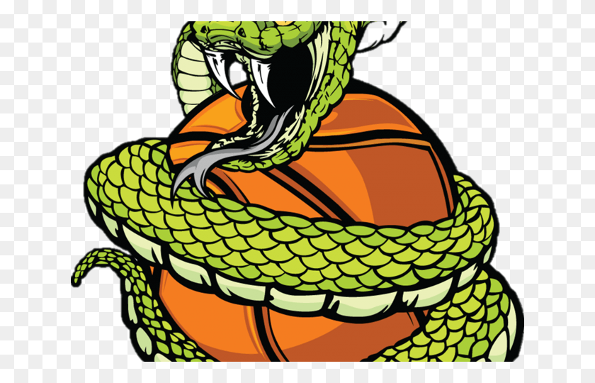 640x480 Cobra Clipart Basketball, Reptile, Animal, Snake HD PNG Download