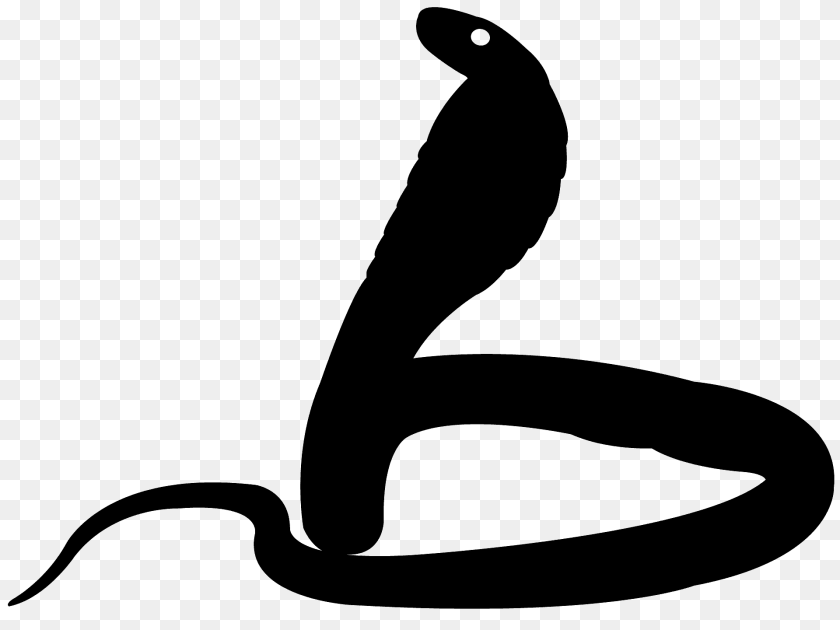 1920x1440 Cobra Silhouette, Animal, Reptile, Snake, Fish Clipart PNG
