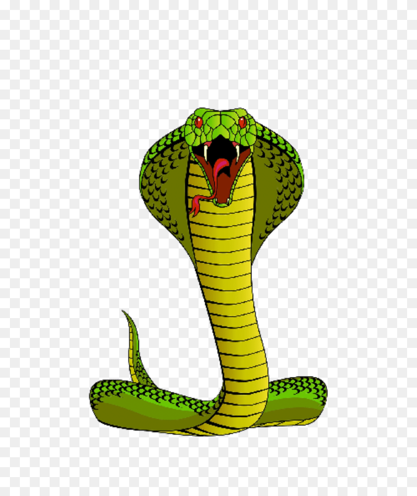 1746x2075 Cobra Snake Freetoedit, Animal, Reptile Transparent PNG