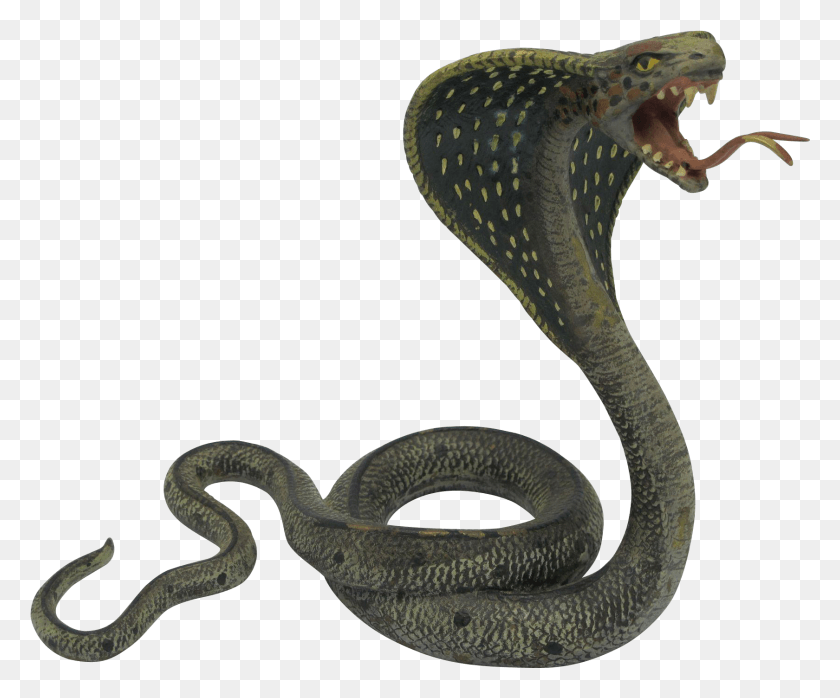 1680x1375 La Serpiente Cobra Png / Reptil Hd Png