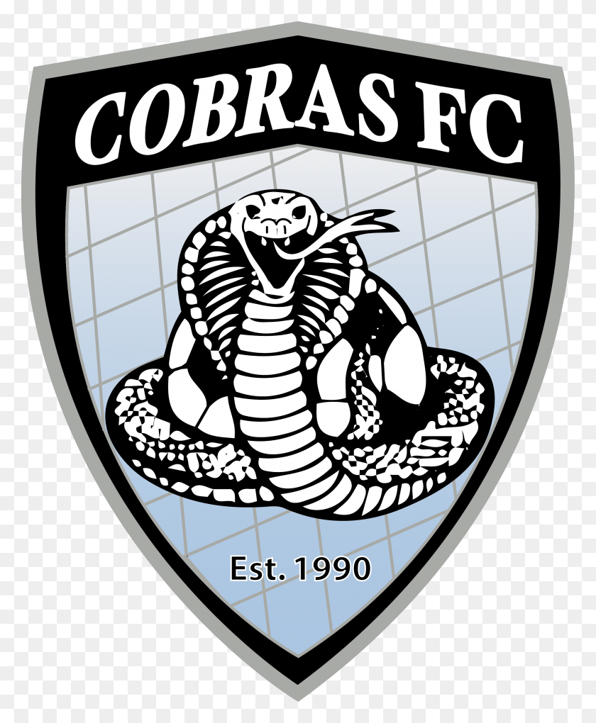 2440x3004 Cobras Fc Travel Futbol Club Cobras De Ciudad Jurez, Animal, Cobra, Snake HD PNG Download