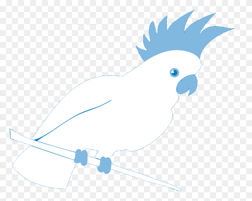 811x634 Cockatoo Blue, Bird, Animal, Parrot HD PNG Download
