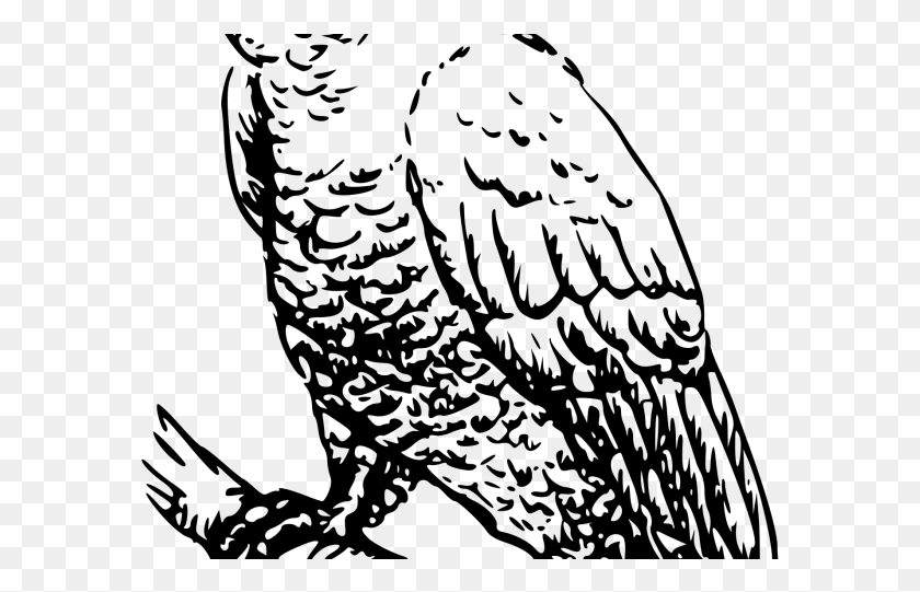 583x481 Cockatoo Clipart Transparent Cockatoo Vector Black White, Gray, World Of Warcraft HD PNG Download