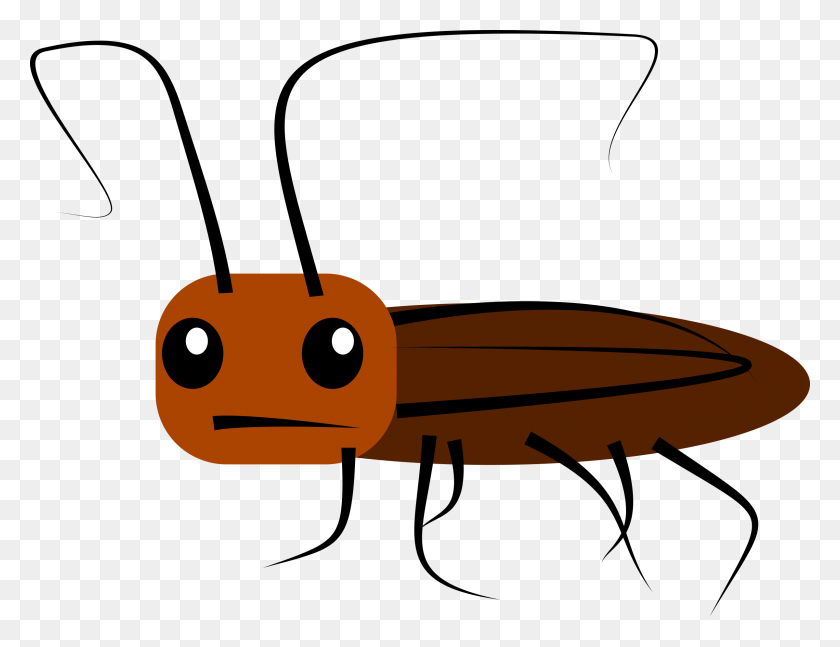 2400x1808 Cockroach Cartoon Cockroach Clipart, Animal, Aircraft, Vehicle HD PNG Download